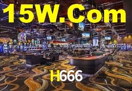 H666 App Interface