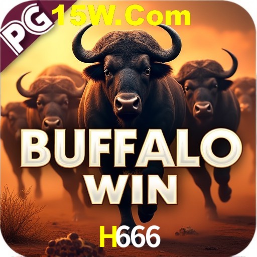 Responsive Design H666